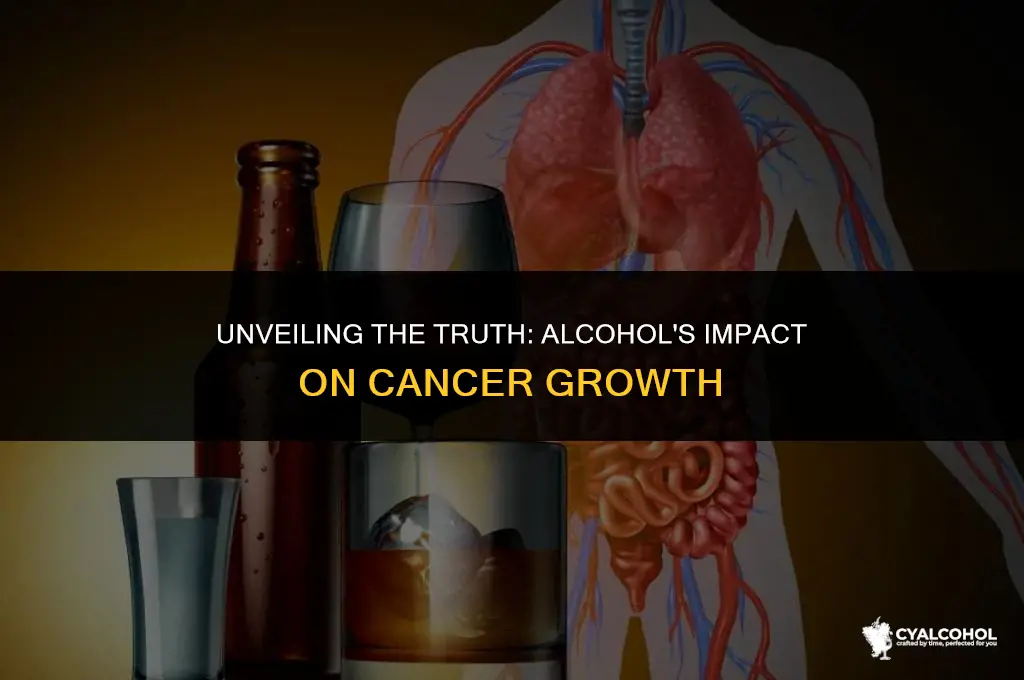 does alcohol increase cancer growth