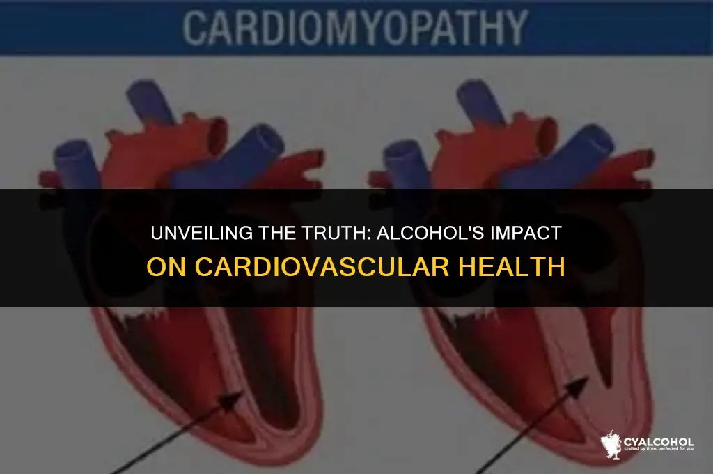 does alcohol increase cardiovascular disease