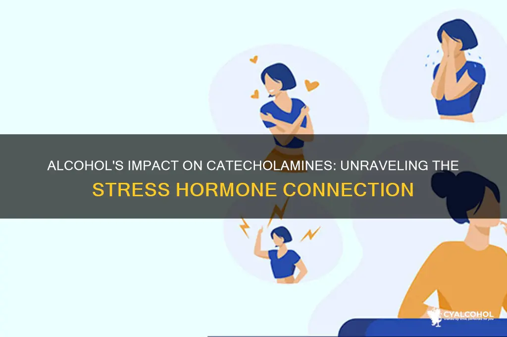 does alcohol increase catecholamines