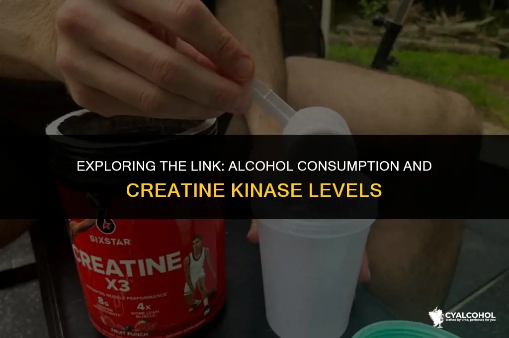 does alcohol increase creatine kinase