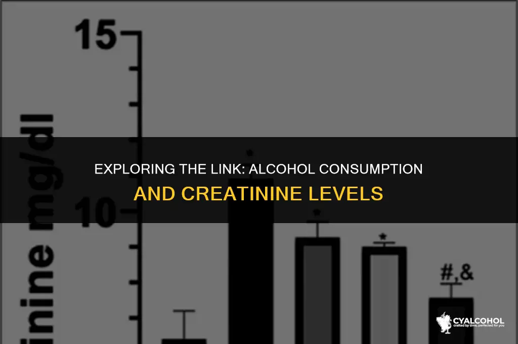 does alcohol increase creatinine level