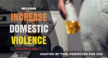 The Sobering Truth: Alcohol's Impact on Domestic Violence Rates