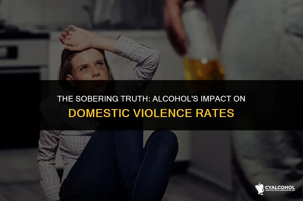 does alcohol increase domestic violence
