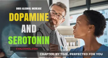 Alcohol's Impact: Boosting Dopamine and Serotonin Levels Explained