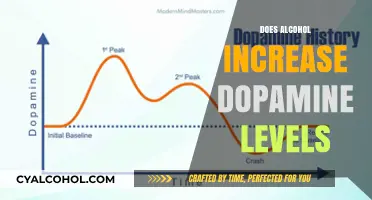 Unveiling the Truth: Alcohol's Impact on Dopamine Levels Explored