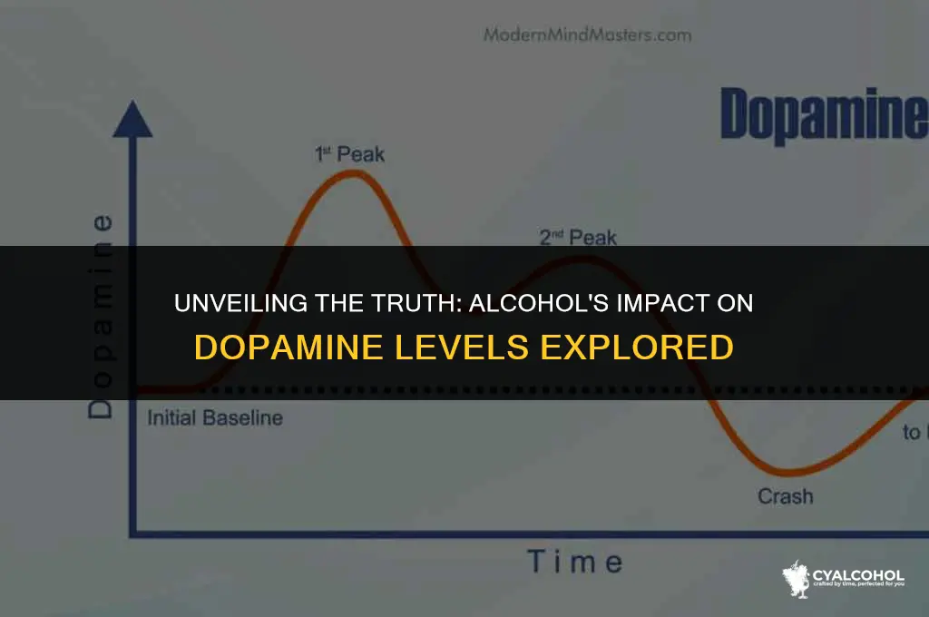 does alcohol increase dopamine levels