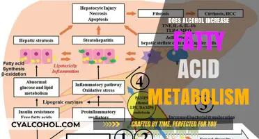 Alcohol's Impact on Fatty Acid Metabolism: Unraveling the Complex Relationship