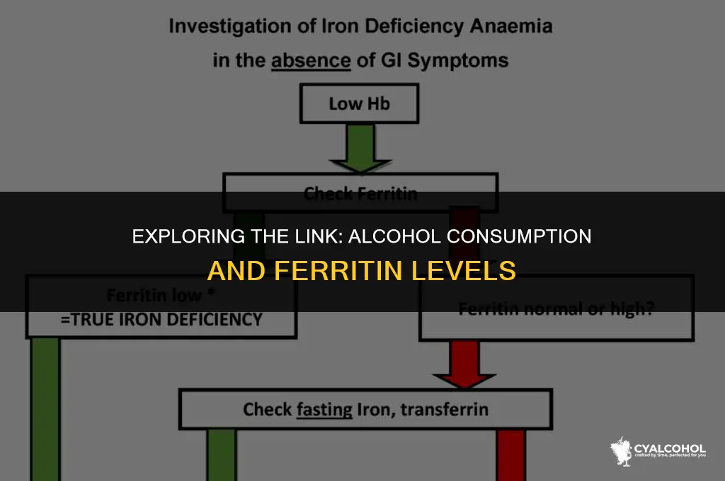 does alcohol increase ferritin levels