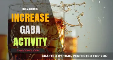 Exploring the Link: Alcohol's Impact on GABA Activity in the Brain