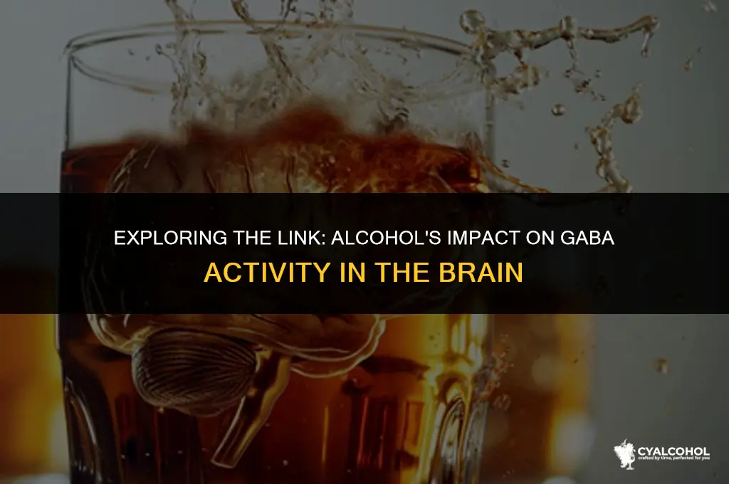 does alcohol increase gaba activity