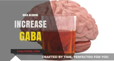 Alcohol and GABA: Unraveling the Complex Relationship in Your Brain