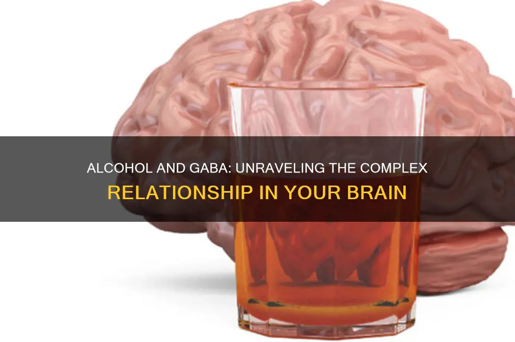 does alcohol increase gaba