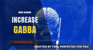 Alcohol and GABA: Unraveling the Connection and Its Impact on the Brain