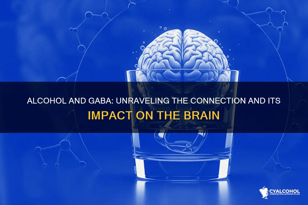 does alcohol increase gabba