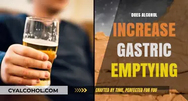 Exploring the Effects of Alcohol on Gastric Emptying: A Comprehensive Review