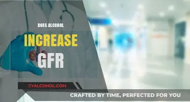 Alcohol's Impact on Kidney Function: Does It Boost GFR?