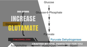 Alcohol's Impact on Glutamate: Unraveling the Brain Chemistry Connection