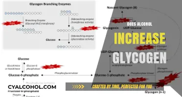 Alcohol's Impact on Glycogen: Does Drinking Affect Muscle Fuel Storage?
