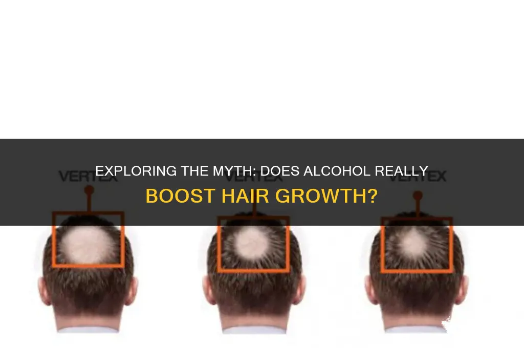 does alcohol increase hair growth