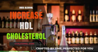 Exploring the Link: Alcohol Consumption and HDL Cholesterol Levels