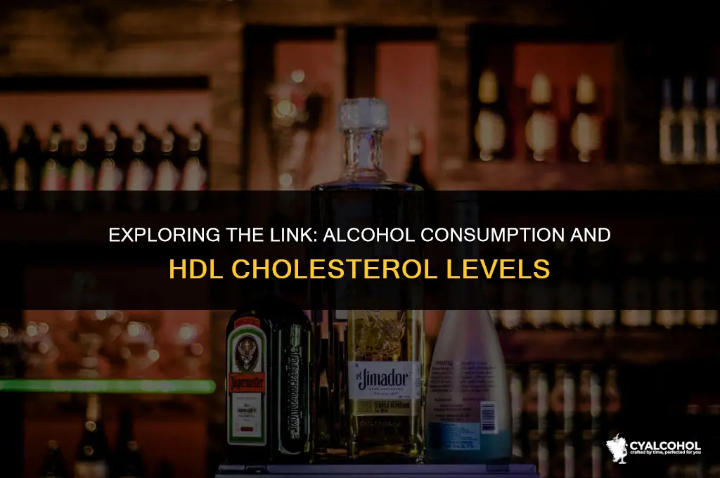 does alcohol increase hdl levels
