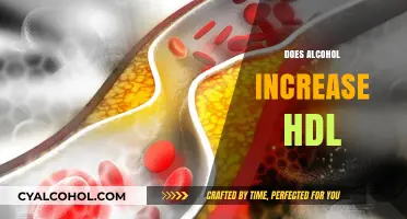 Alcohol and HDL: Unraveling the Link to Heart Health