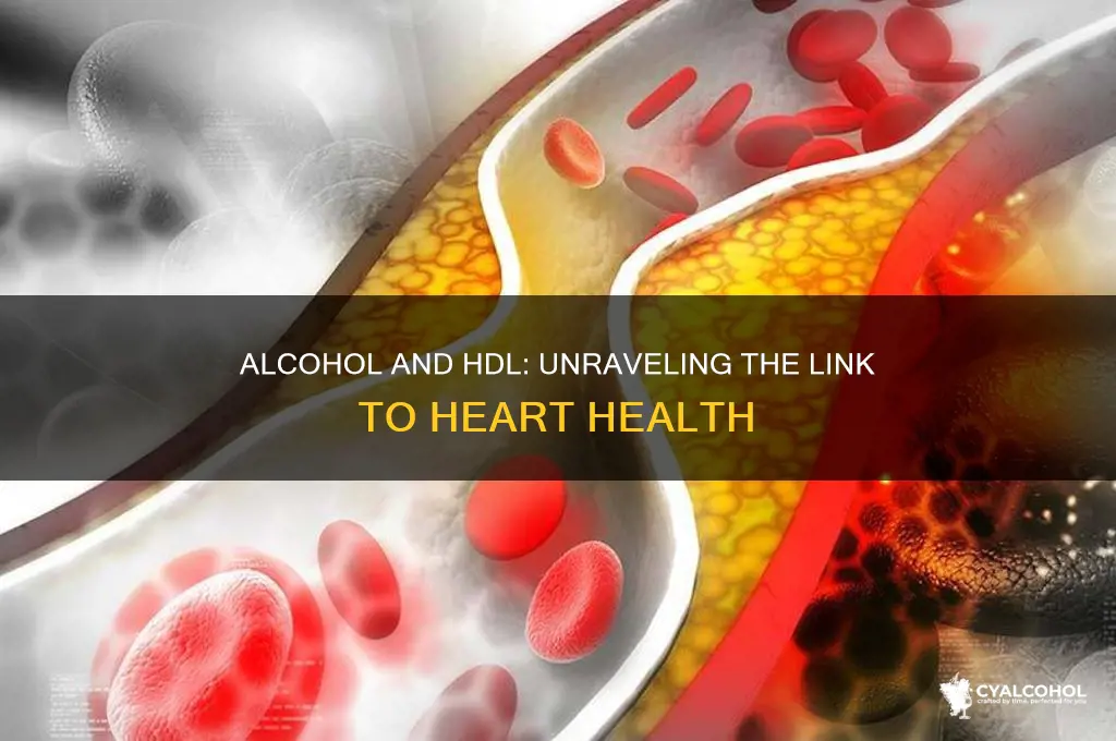 does alcohol increase hdl