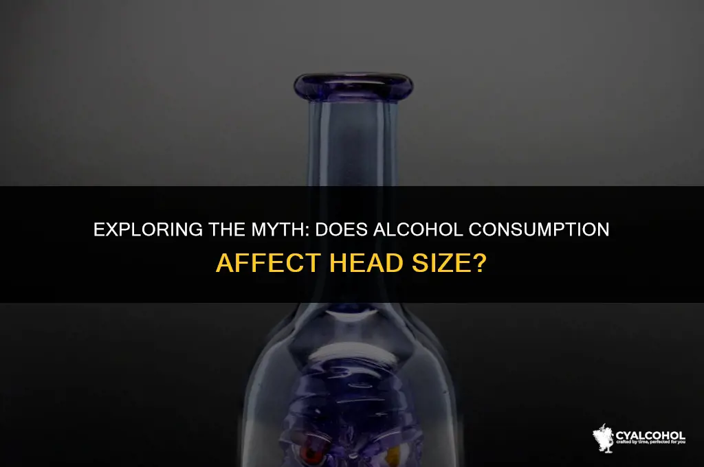 does alcohol increase head size