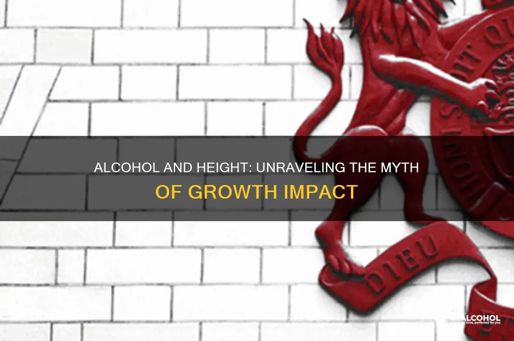 does alcohol increase height