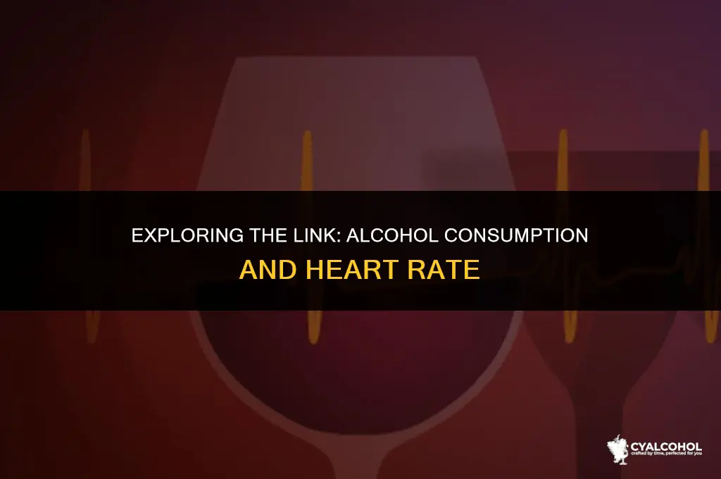 does alcohol increase hesrt rate
