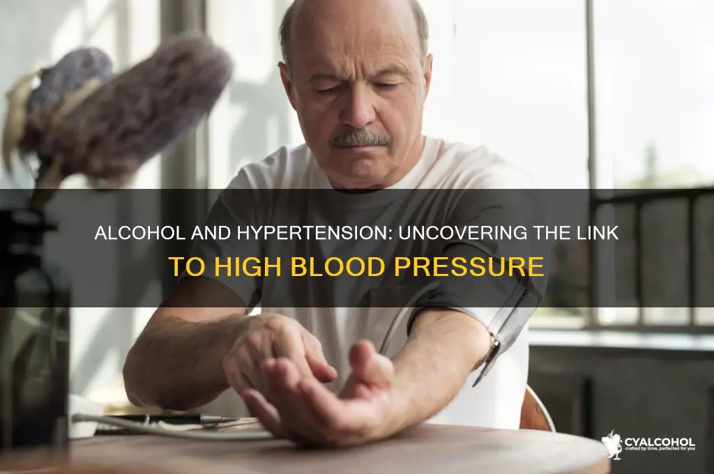 does alcohol increase hypertension
