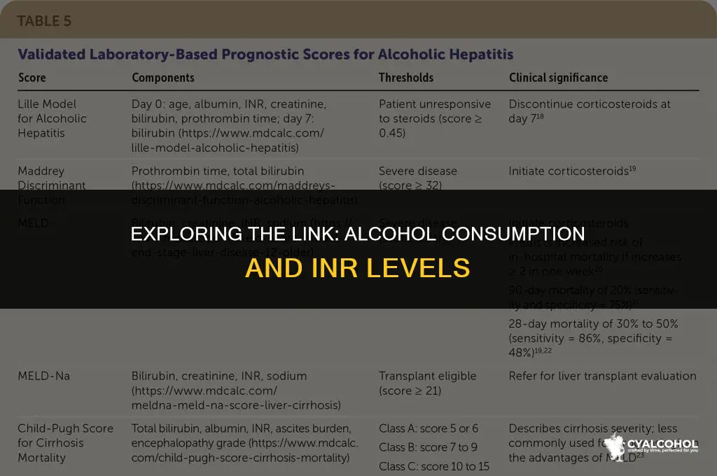 does alcohol increase inr levels