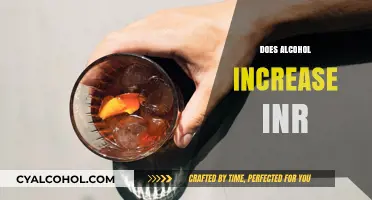 Alcohol and INR Levels: Understanding the Impact on Blood Thinning