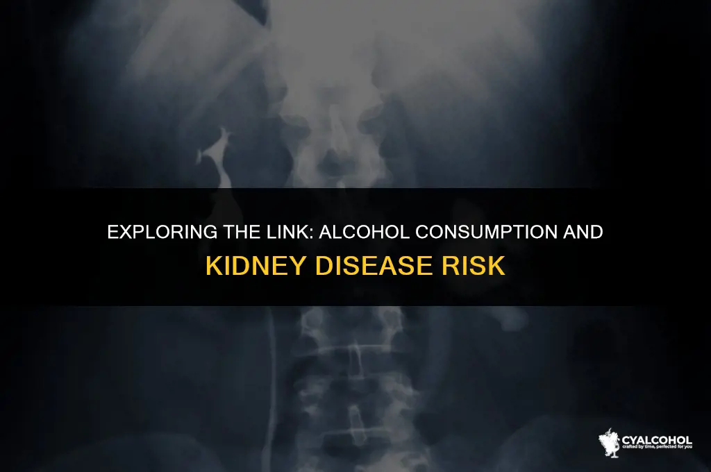 does alcohol increase kidney disease