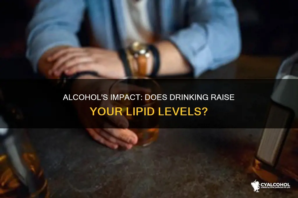 does alcohol increase lipids