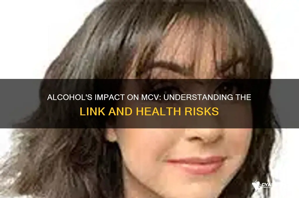does alcohol increase mcv