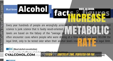 Exploring the Effects of Alcohol on Your Metabolism