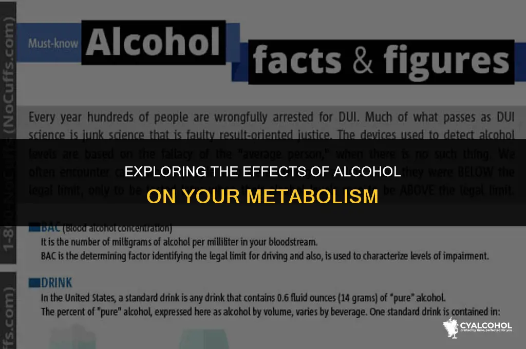 does alcohol increase metabolic rate