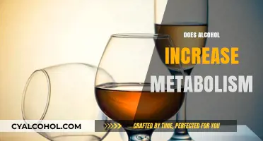 Alcohol and Metabolism: Does Drinking Boost or Slow Your Burn?