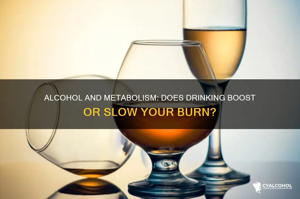 does alcohol increase metabolism