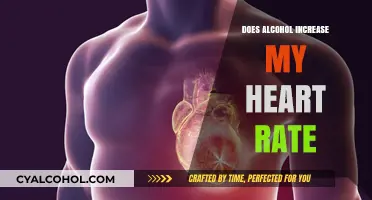 Alcohol and Heart Rate: Understanding the Impact on Your Pulse