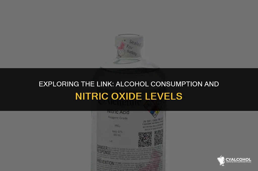 does alcohol increase nitric oxide