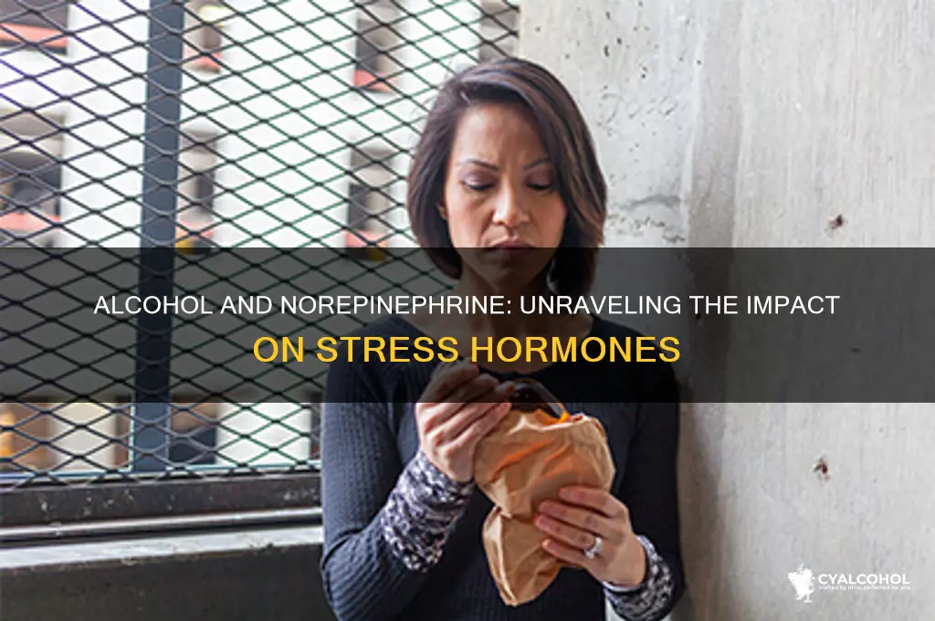 does alcohol increase norepinephrine