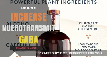 Exploring the Effects of Alcohol on Neurotransmitter GABA