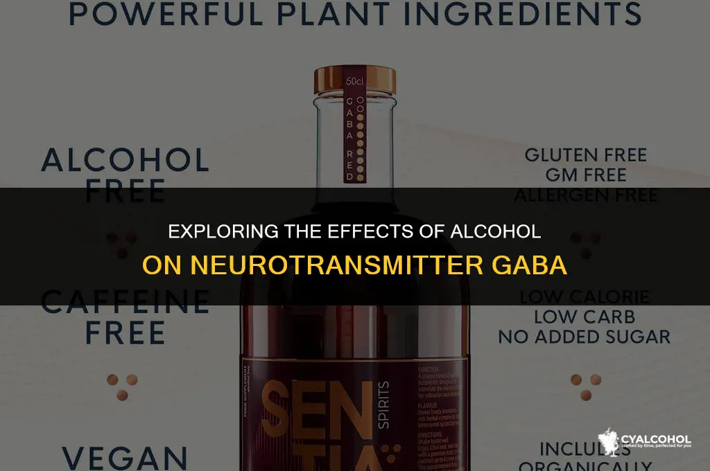 does alcohol increase nuerotransmitter gaba