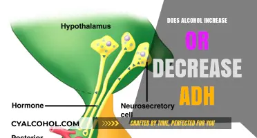 Alcohol's Impact on ADH: Increase, Decrease, or Complex Relationship?