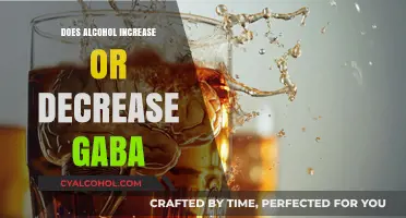 Alcohol's Dual Effect: Does It Increase or Decrease GABA Levels?