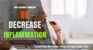 Alcohol's Impact: Does It Increase or Decrease Inflammation in the Body?