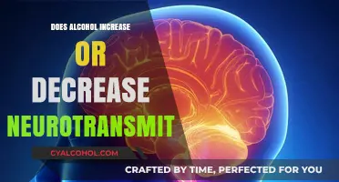 Alcohol's Dual Impact: Boosting or Suppressing Neurotransmitters in the Brain