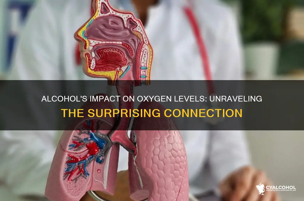 does alcohol increase oxygen